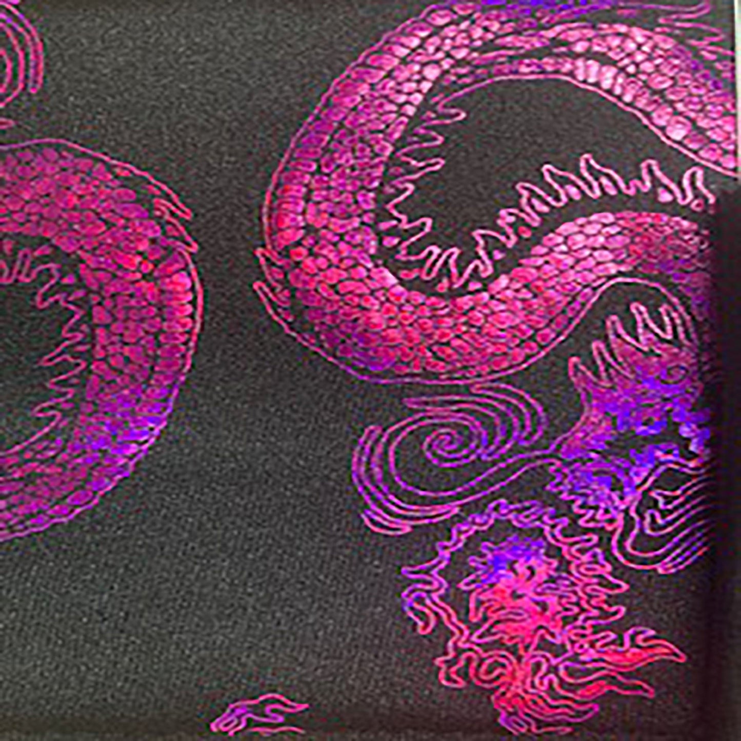 Stretch Nylon Spandex Fabric with Asian Dragon Hologram | Spandex Palace-3