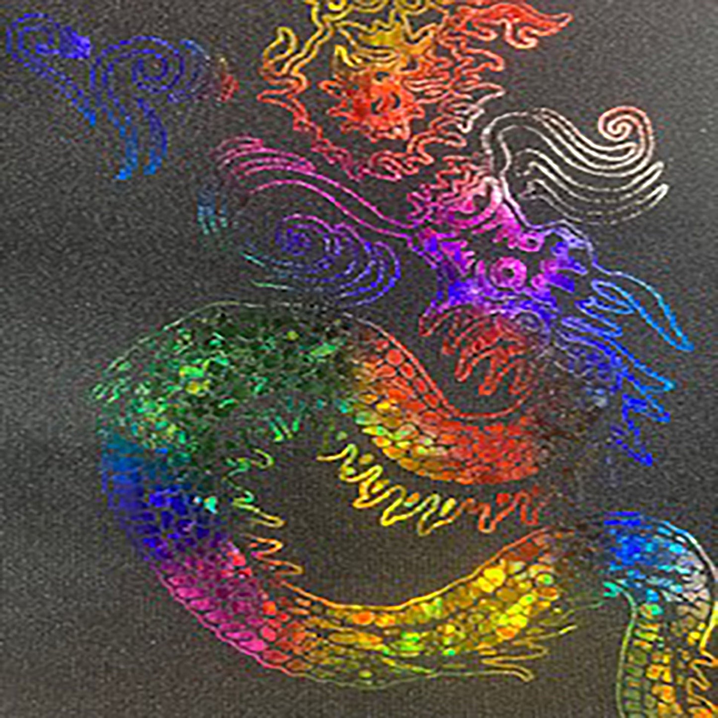 Stretch Nylon Spandex Fabric with Asian Dragon Hologram | Spandex Palace-1