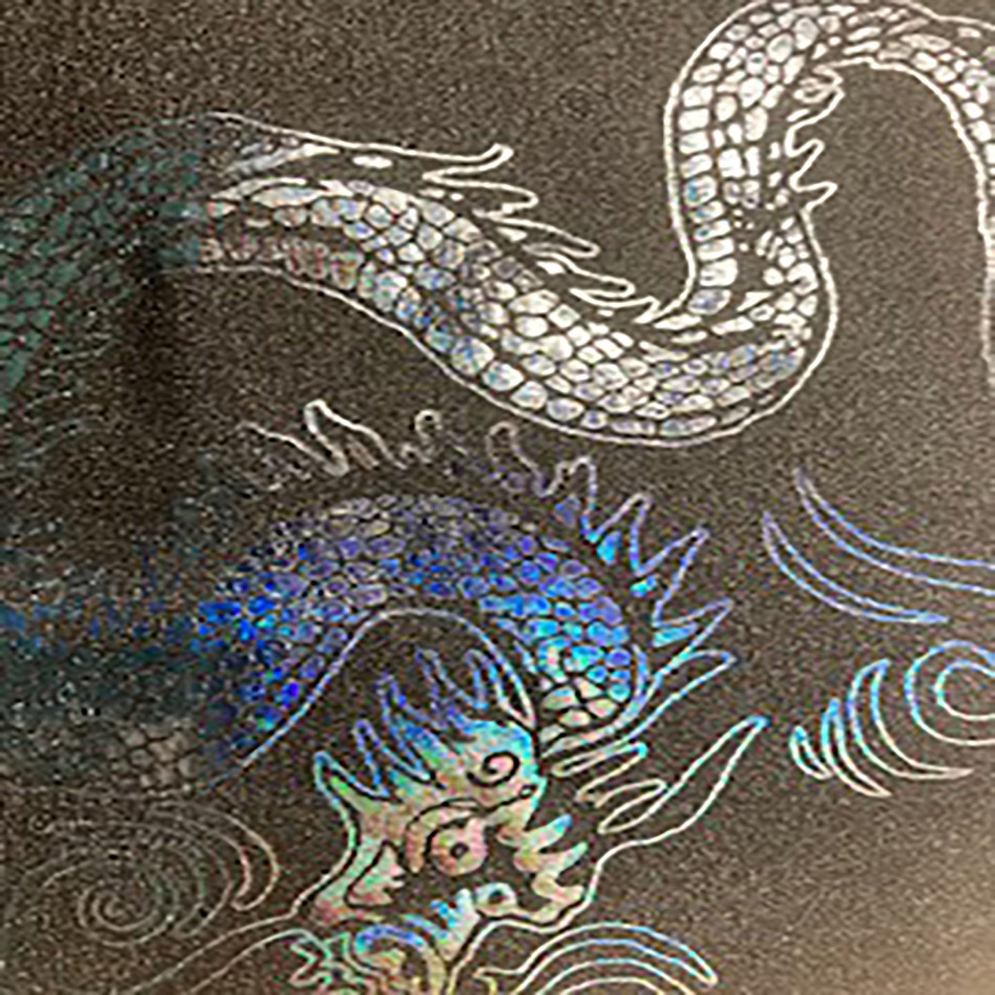 Stretch Nylon Spandex Fabric with Asian Dragon Hologram | Spandex Palace-5