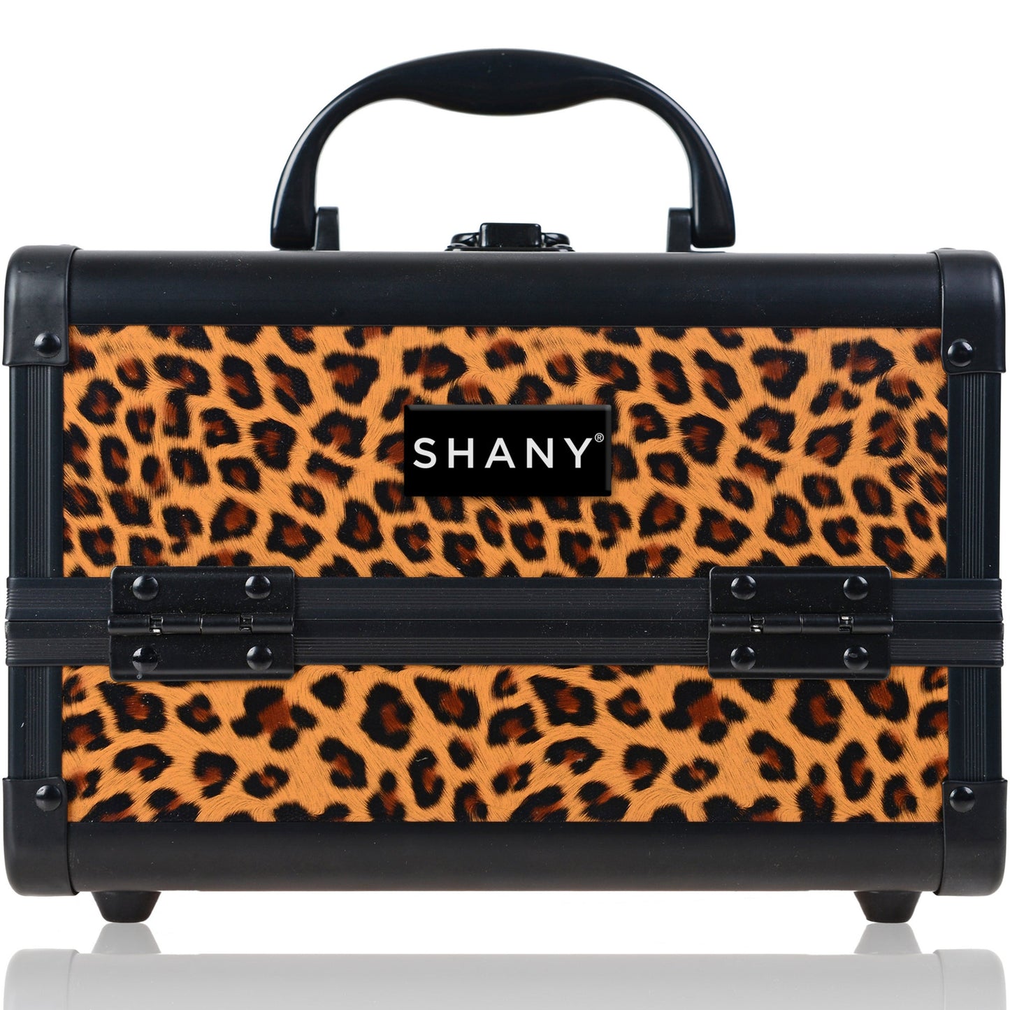 Chic Makeup Train Case with Mirror-12