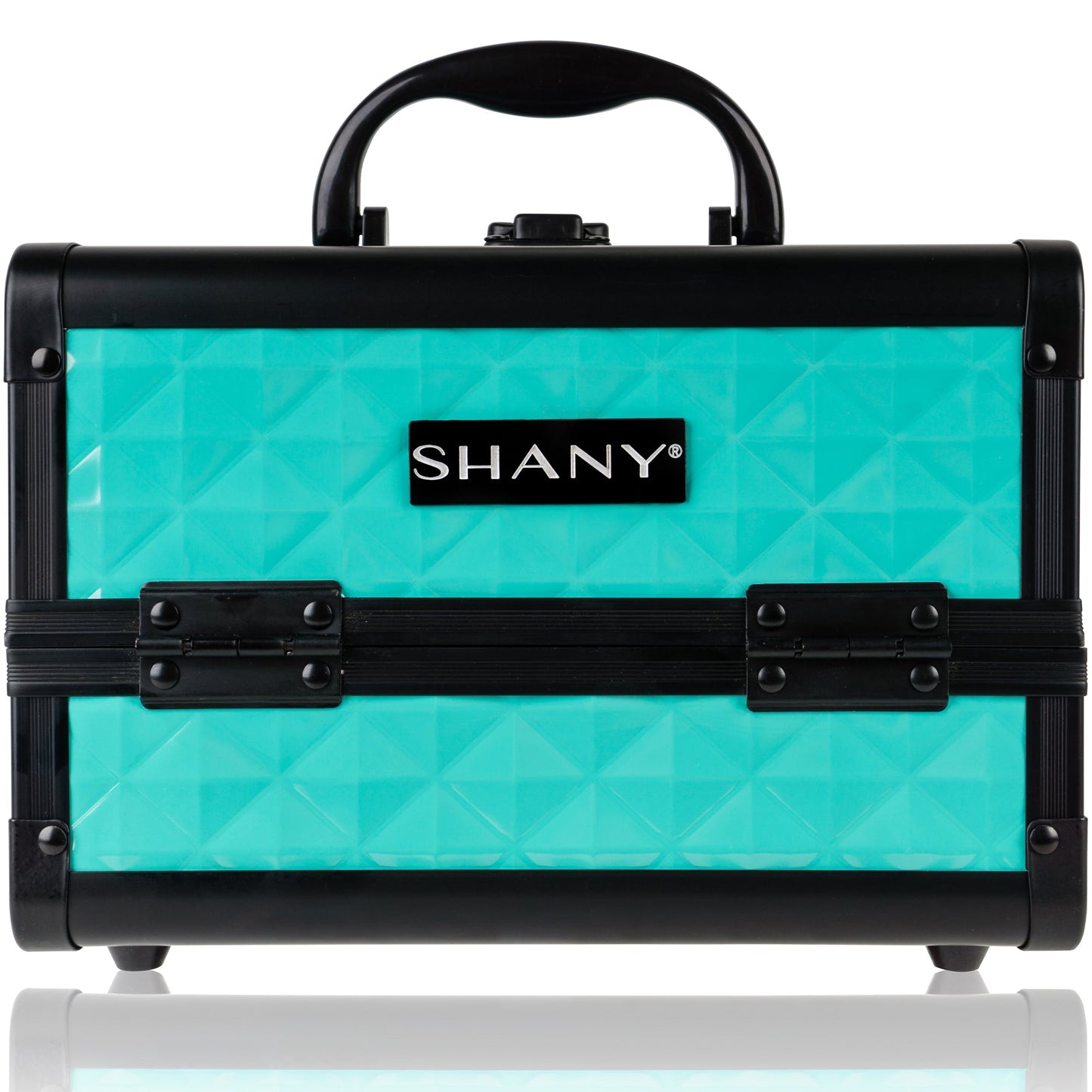 Chic Makeup Train Case with Mirror-13