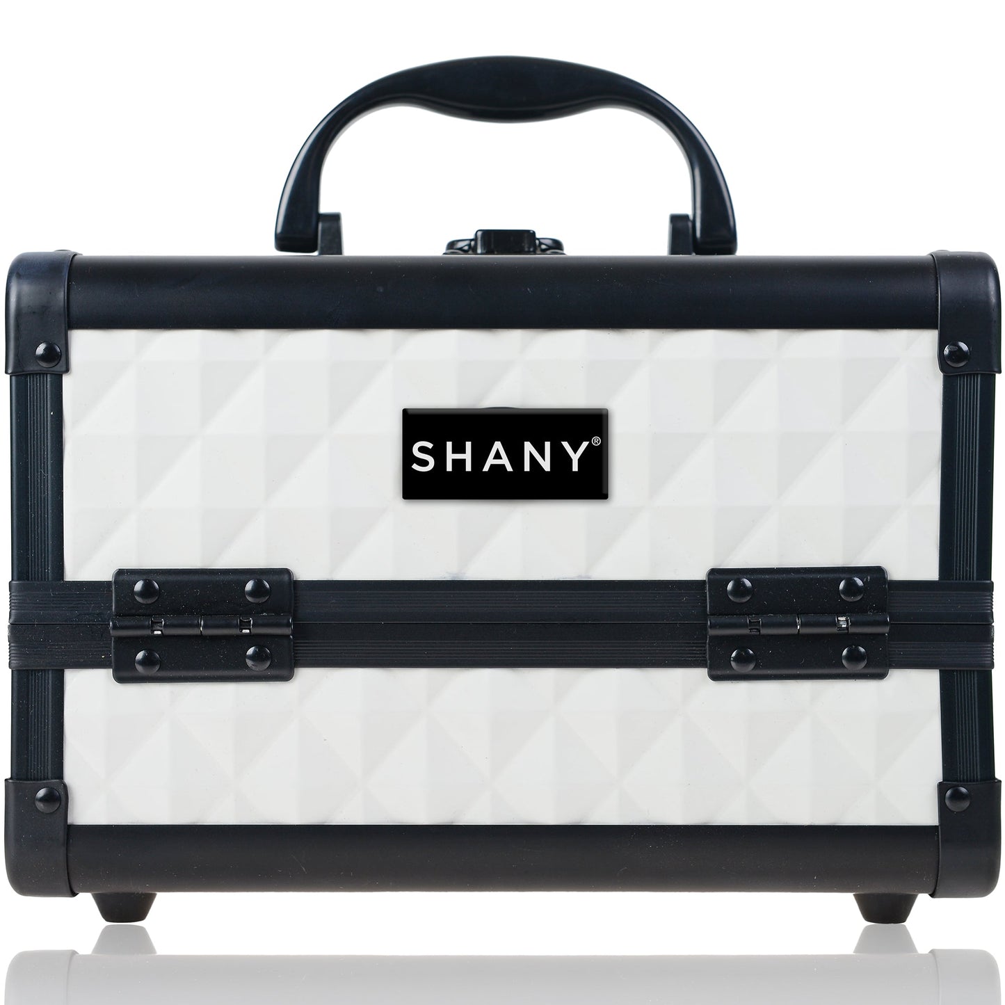 Chic Makeup Train Case with Mirror-11
