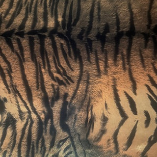 Tiger Foiled Print Polyester Spandex Tricot Fabric | Spandex Palace-0