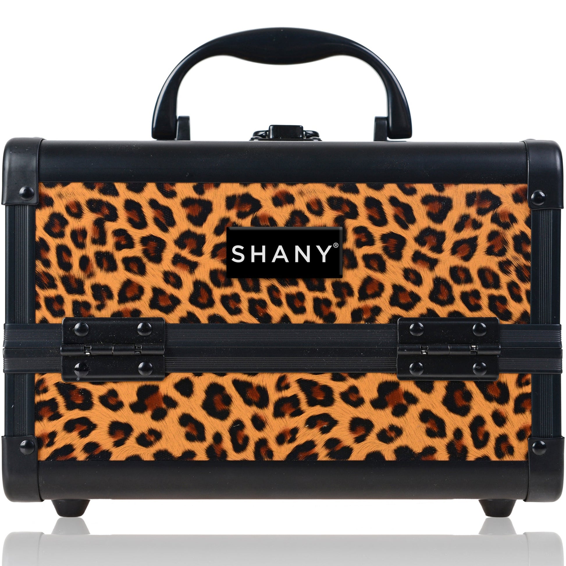 Chic Makeup Train Case with Mirror-12